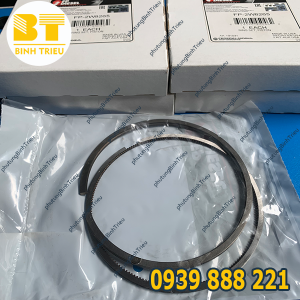 Xéc măng động cơ CAT 3204