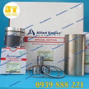 Bộ hơi động cơ CAT 3066