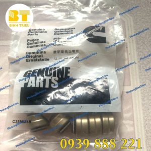 Phớt ghít xupap động cơ Cummins QSX15