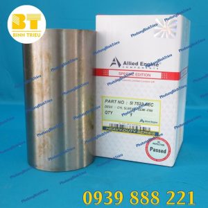 Phụ tùng động cơ CAT 3066