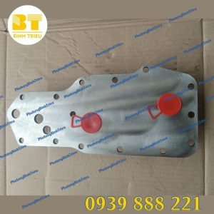 Sinh hàn nhớt 6BT