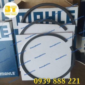 Xéc măng Caterpillar 3116