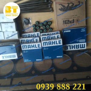 Xéc măng động cơ CAT 3116