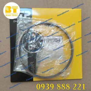 Xéc măng động cơ CAT C7