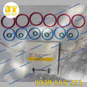 Thun kim phun Caterpillar C18